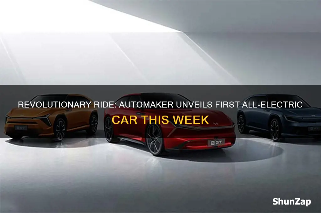 which automaker unveiled its first all electric car this week