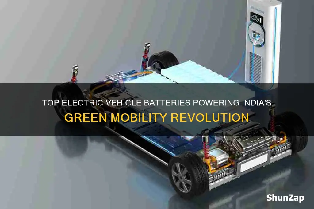 which batteries are used in electric vehicles in india