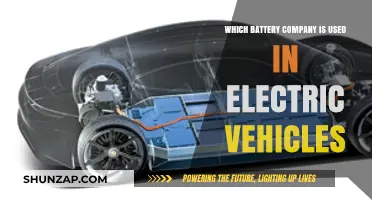 Top Battery Companies Powering Today's Electric Vehicles: A Comprehensive Guide