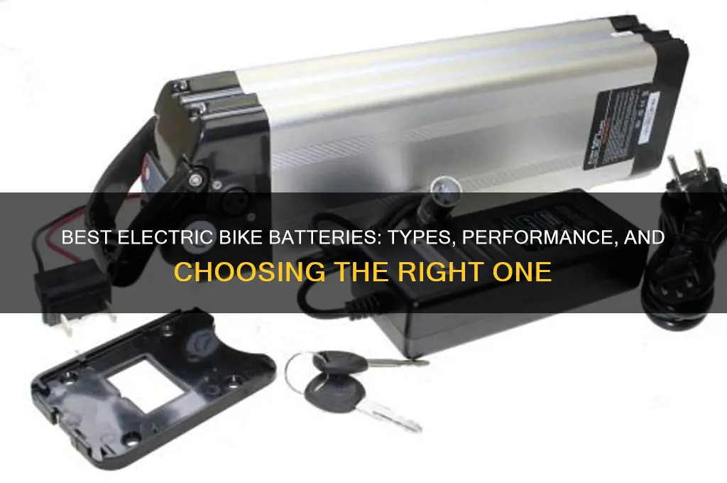 which battery is used in electric bike