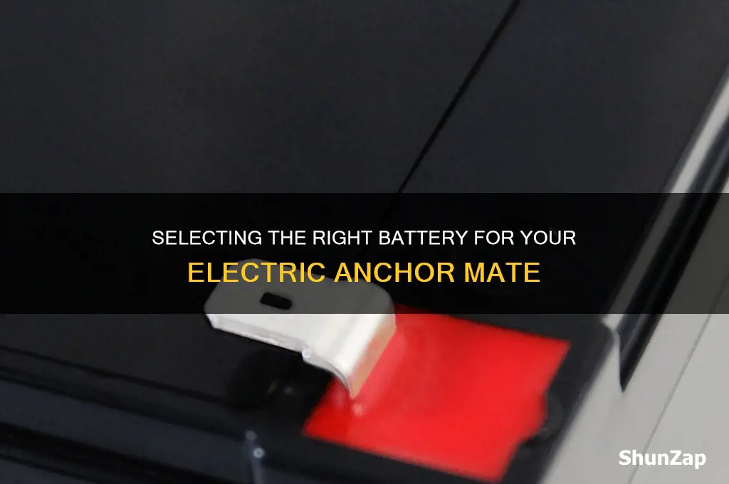 which battery to hook electric anchor mate