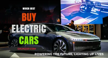 Top Electric Car Picks: Best Buy Options for Eco-Friendly Drivers