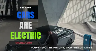 BMW's Electric Lineup: Discover the Brand's Eco-Friendly Models