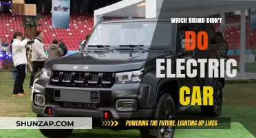 Surprising Holdouts: Which Car Brands Haven't Gone Electric Yet?