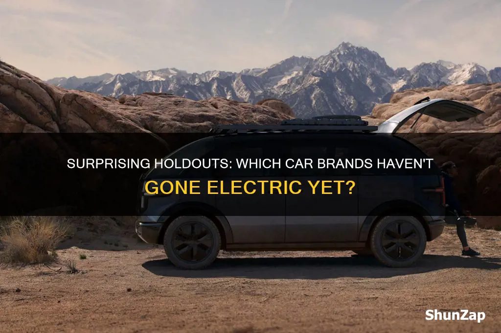 which brand didn