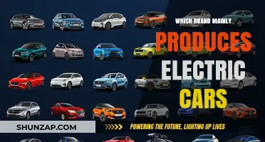 Leading Electric Car Brands: Who Dominates the EV Market?