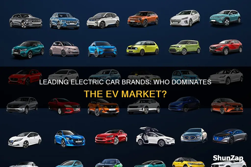 which brand mainly produces electric cars