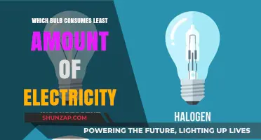 Energy-Efficient Bulbs: Choosing the Right Lighting for Your Home