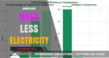 Energy-Efficient Lighting: Which Bulb Saves the Most Electricity?