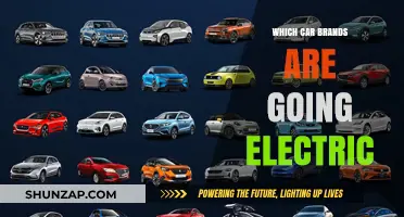 Revolutionizing the Road: Car Brands Shifting to Electric Vehicles