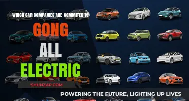 Leading Car Brands Fully Committed to All-Electric Future Revealed