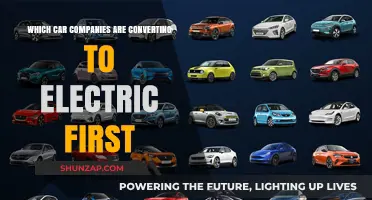 Leading the Charge: Car Brands Rapidly Transitioning to Electric Vehicles
