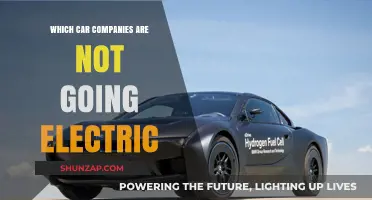 Gas-Powered Holdouts: Car Brands Resisting the Electric Vehicle Revolution