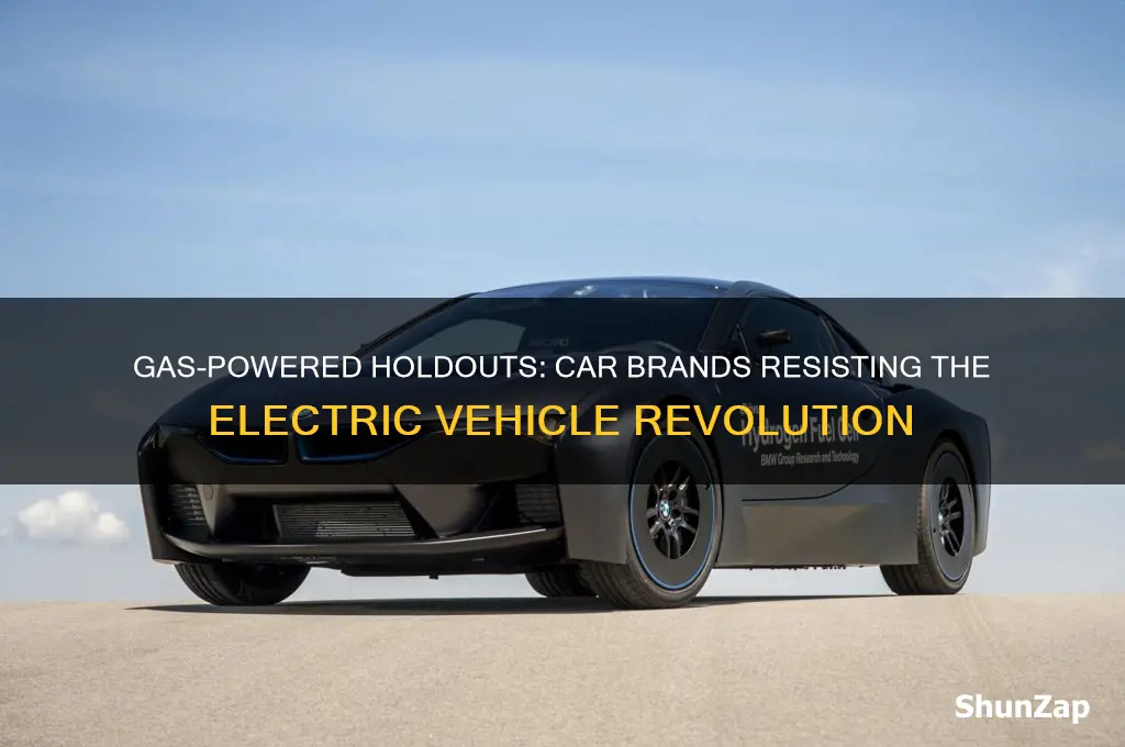which car companies are not going electric