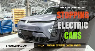 Which Automakers Are Halting Electric Vehicle Production Plans?