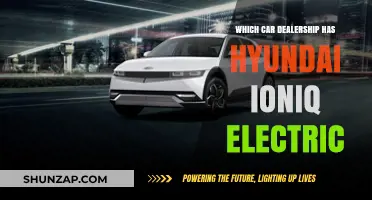 Where to Find Hyundai Ioniq Electric: Top Dealerships Guide