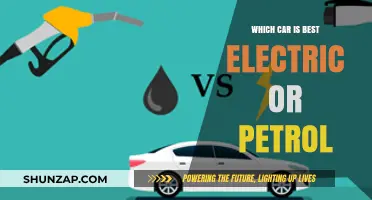 Electric vs. Petrol Cars: Which One Suits Your Lifestyle Best?