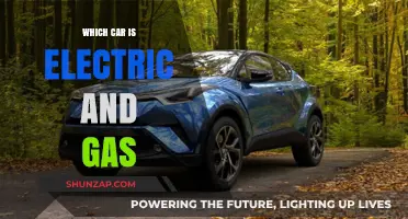 Electric and Gas Hybrid Cars: Top Models Combining Both Power Sources