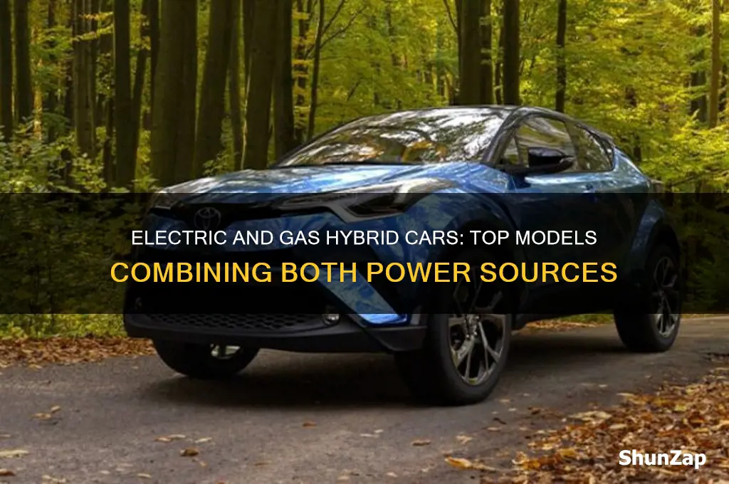 which car is electric and gas