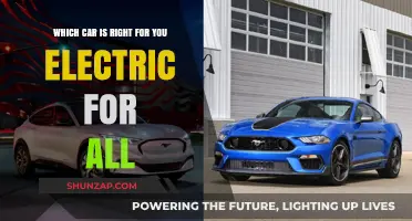 Electric Vehicles for Everyone: Finding Your Perfect Eco-Friendly Ride