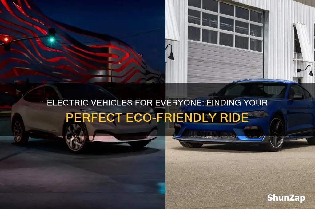 which car is right for you electric for all