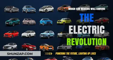 Electric Revolution: Which Car Makers Will Thrive or Fade?