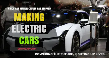 Surprising Shift: Car Manufacturer Halts Electric Vehicle Production