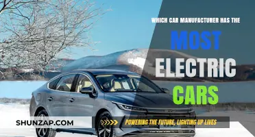 Leading the Charge: Top Car Manufacturer with Most Electric Models