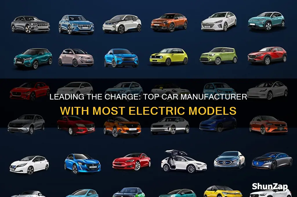 which car manufacturer has the most electric cars