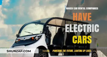Eco-Friendly Travel: Car Rental Companies Offering Electric Vehicles