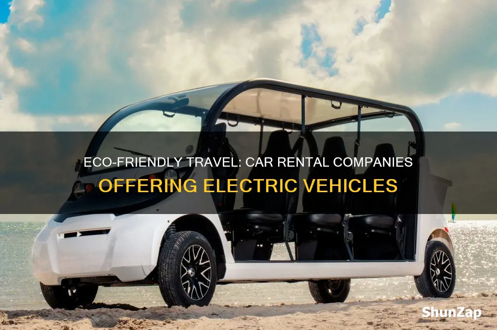 which car rental companies have electric cars