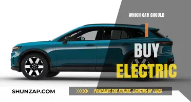 Choosing the Perfect Electric Car: A Comprehensive Buyer's Guide