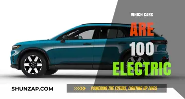 Top Fully Electric Vehicles: A Guide to 100% Electric Cars