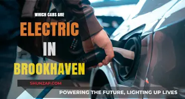 Electric Vehicles in Brookhaven: A Guide to Eco-Friendly Cars