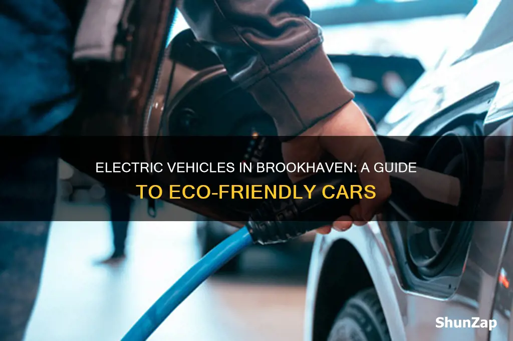 which cars are electric in brookhaven