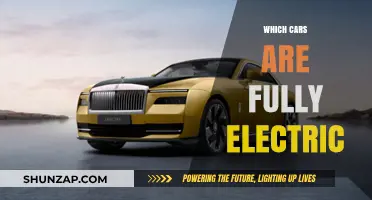 Discover the Top Fully Electric Cars Revolutionizing the Auto Industry
