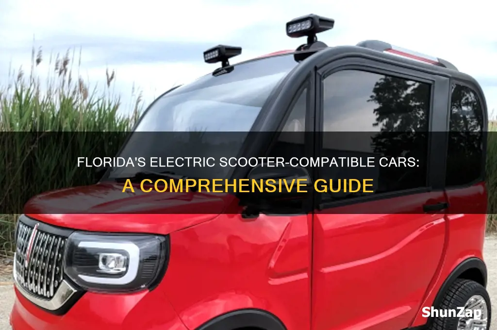 which cars can be equipped with electric scooter in florida
