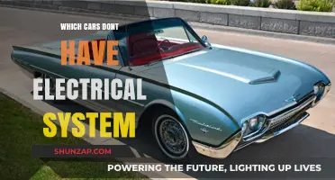 Exploring Rare Vehicles: Cars Without Electrical Systems Today
