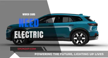 Electric Vehicles: Which Cars Are Ready for the Green Transition?