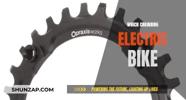 Electric Bike Chainrings: Which One Should You Choose?