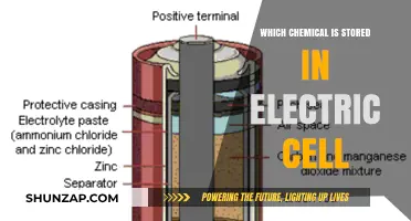 The Mystery of Electric Cells: Unveiling Chemical Secrets