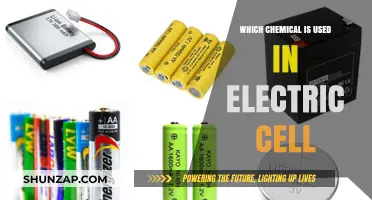 Key Chemicals Powering Electric Cells: A Comprehensive Overview