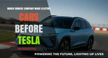 China's Electric Car Pioneer: Who Beat Tesla to the Market?