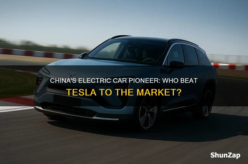 which chinese company made electric cars before tesla