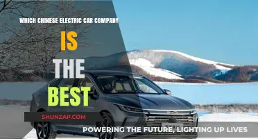 Top Chinese Electric Car Brands: Who Leads the EV Revolution?
