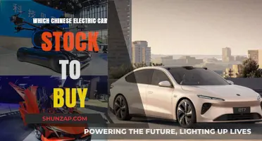 Top Chinese Electric Car Stocks: Best Investment Opportunities for 2023