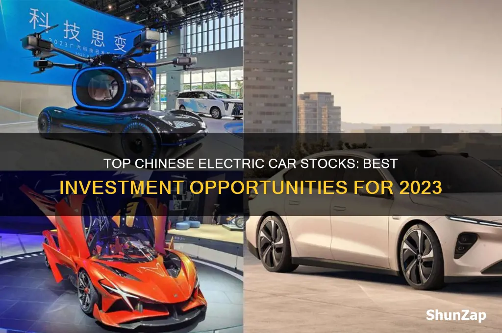 which chinese electric car stock to buy