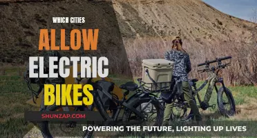 Electric Bike-Friendly Cities: Where Are They?