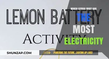 Citrus Power: Which Fruit Generates Most Electricity?