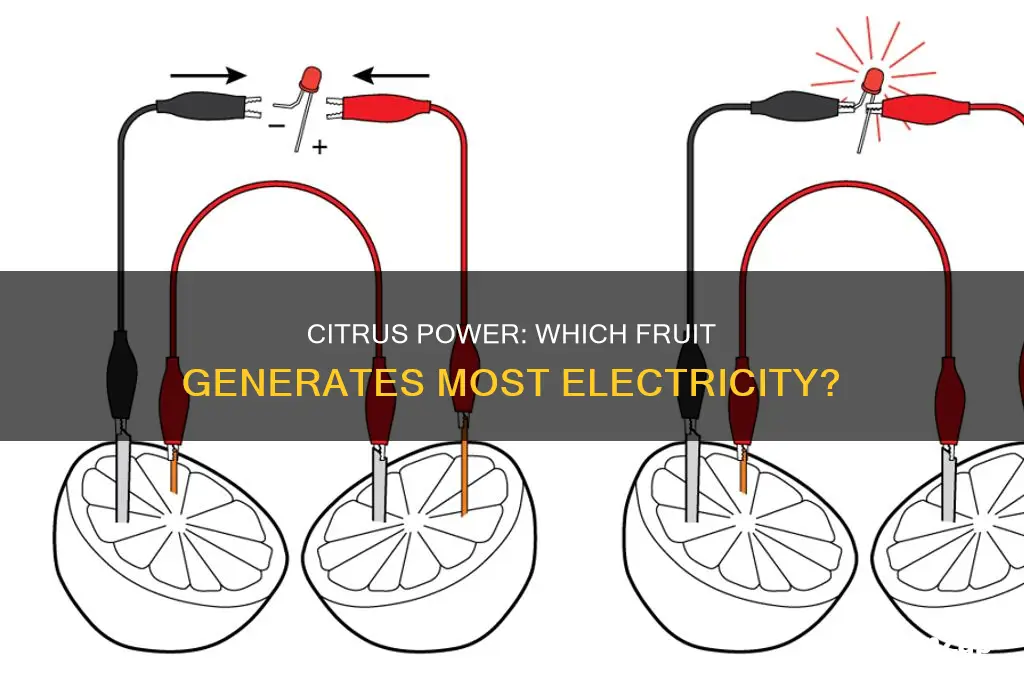 which citrus fruit has the most electricity
